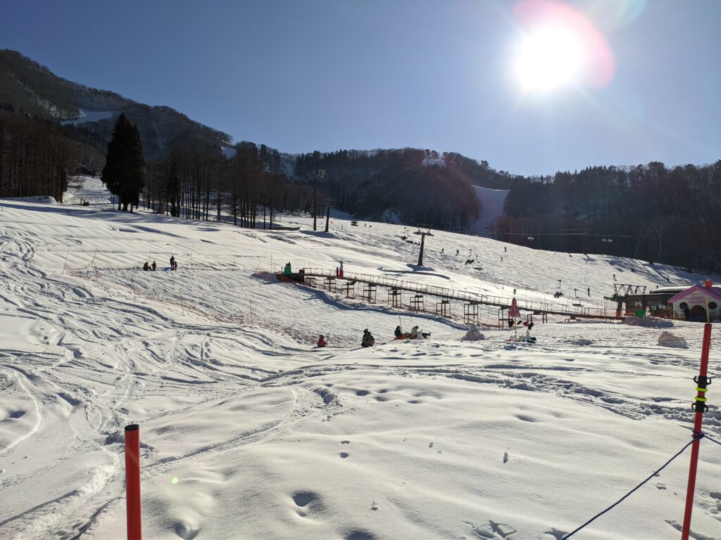 大小朋友都可以盡興的斑尾